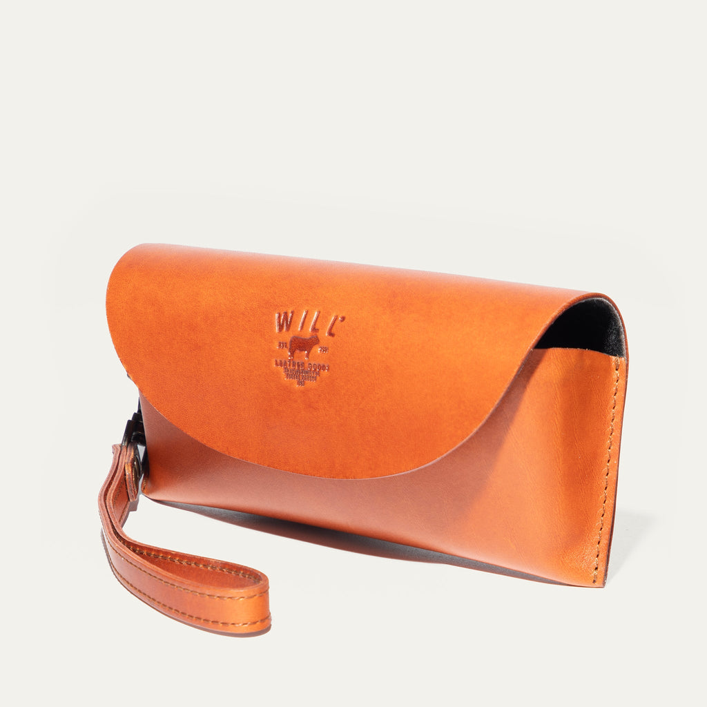 The Eyeglass Case
