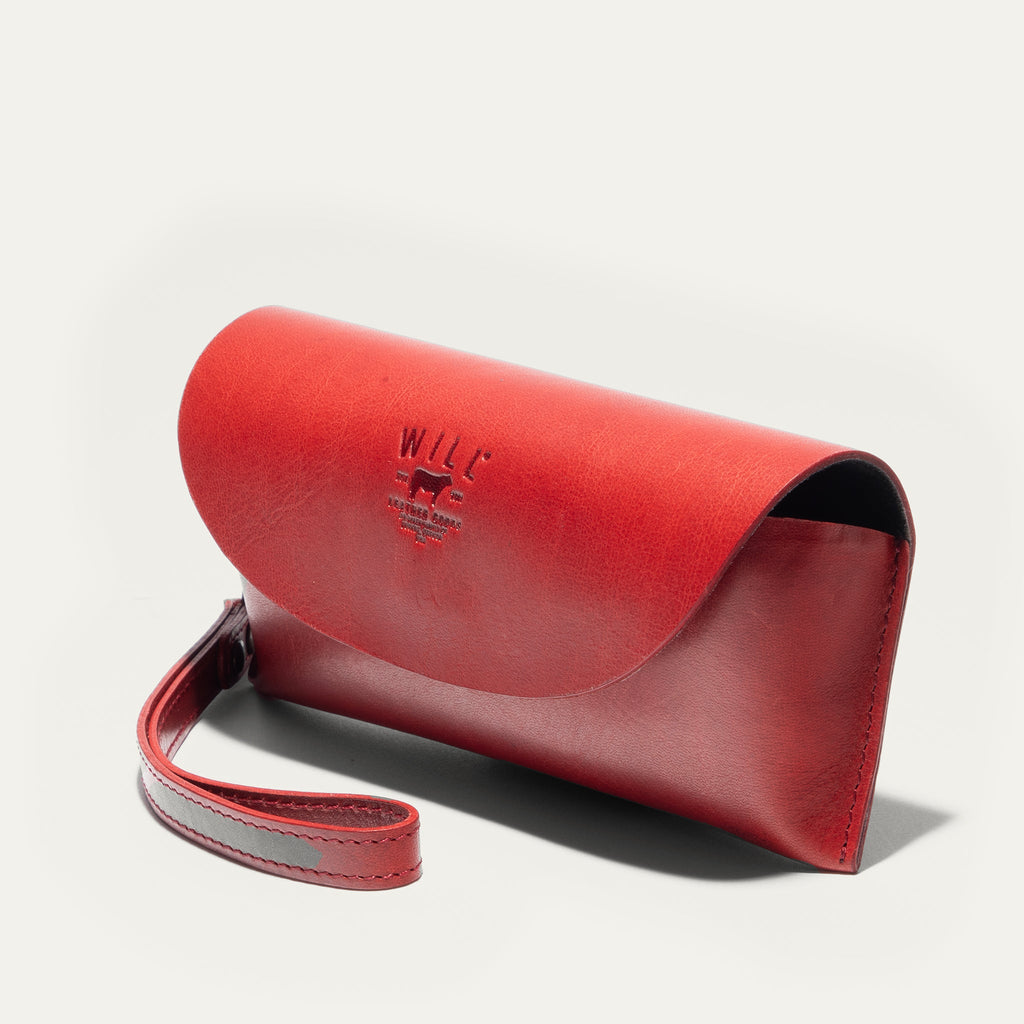The Eyeglass Case