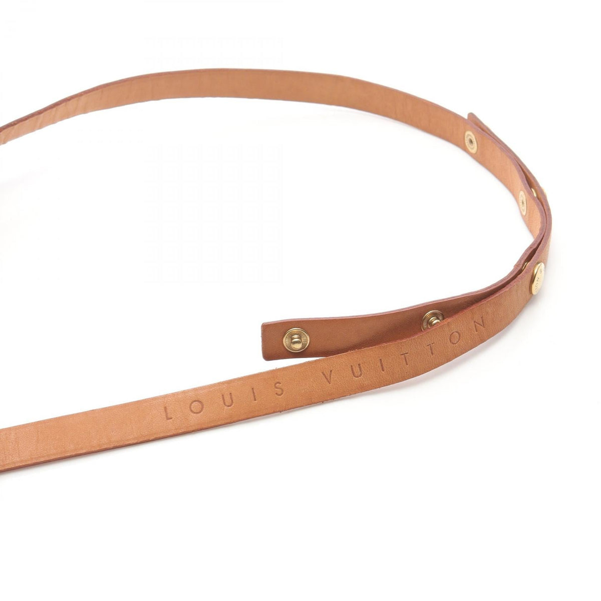 Louis Vuitton Florentine · Monogram