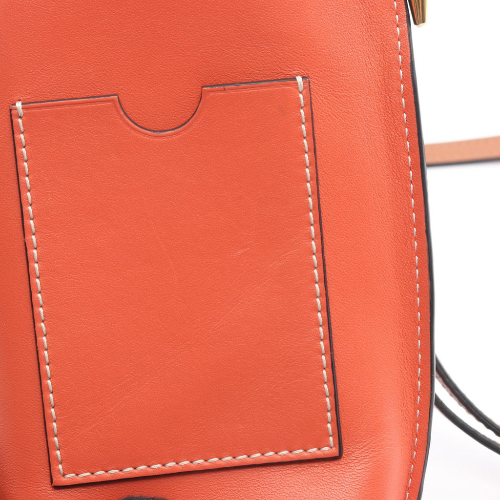 Loewe Gate Pocket · Mini Crossbody