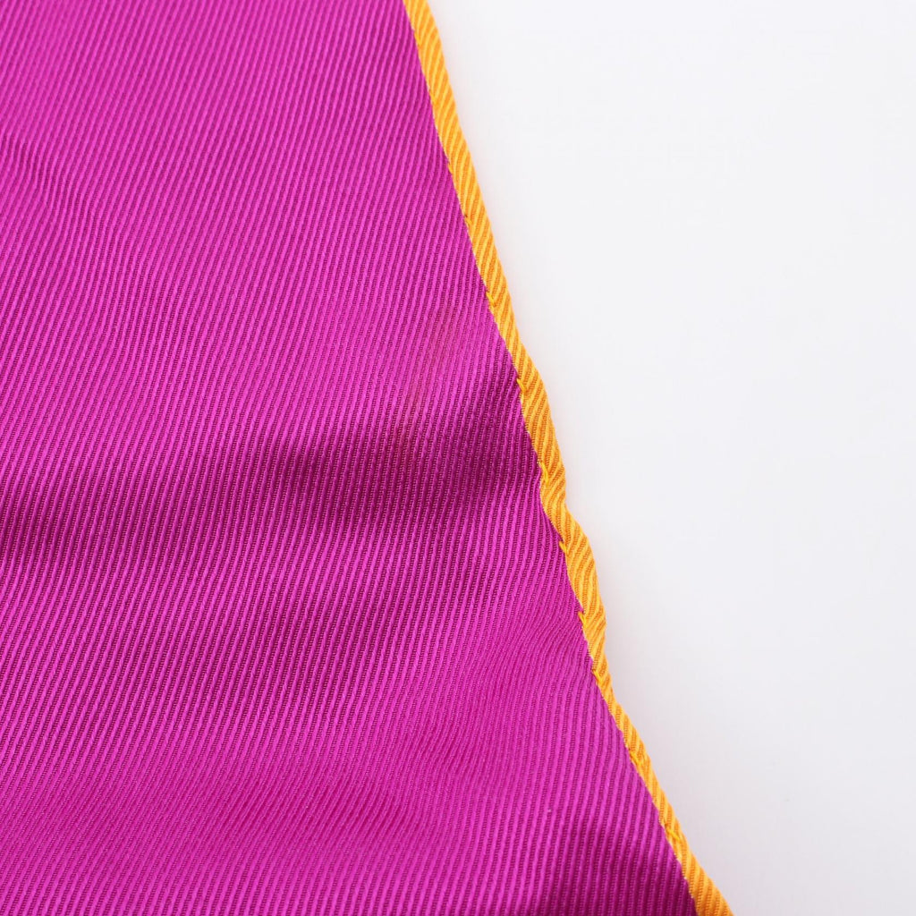Hermès Fringe Stole · Silk