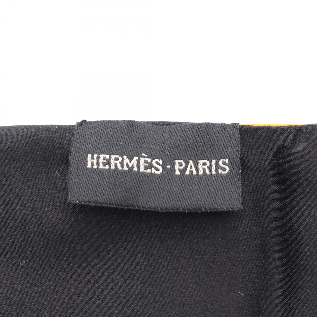 Hermès Silk Stole · Multicolor