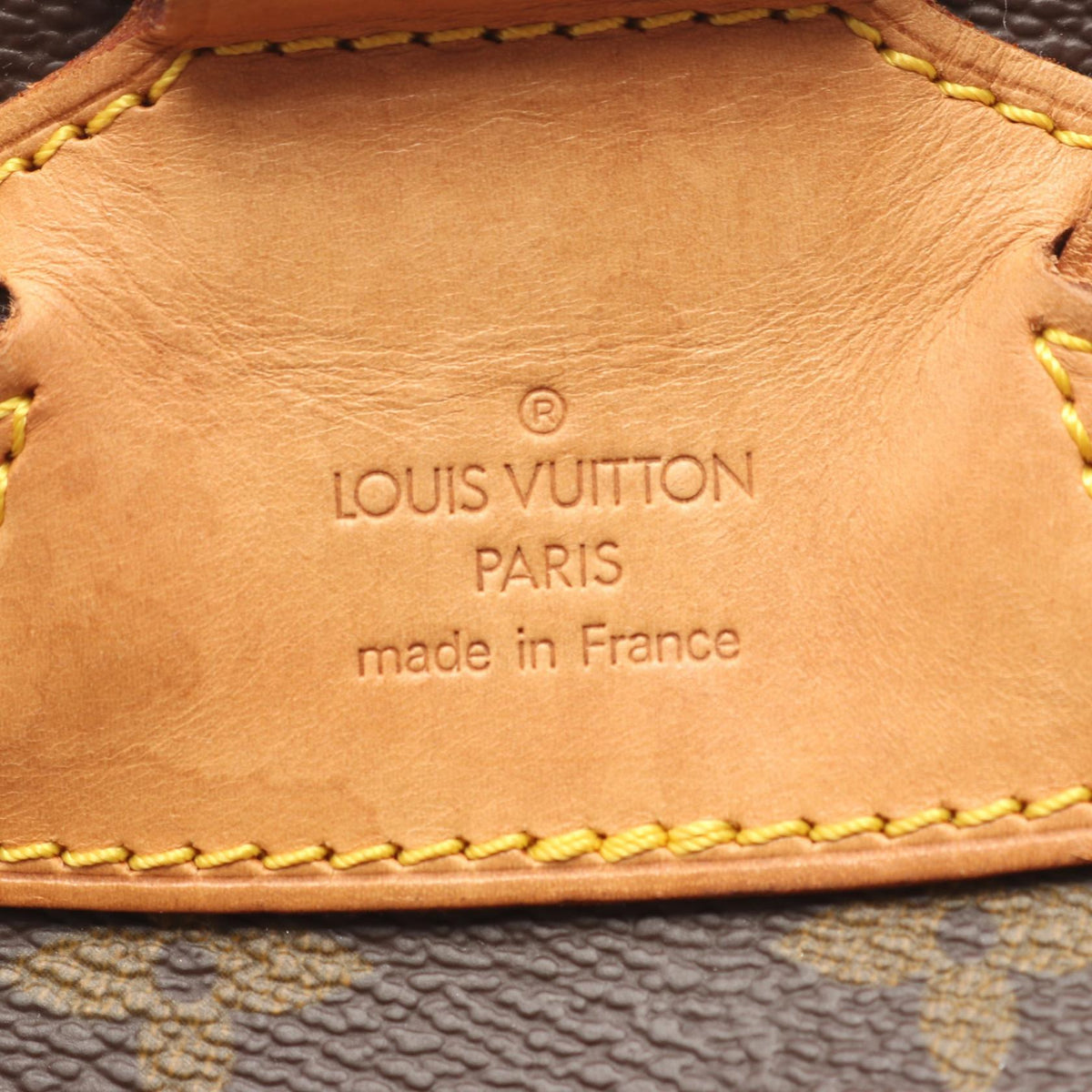 Louis Vuitton Montsouris MM · Monogram