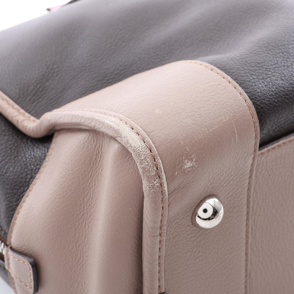 Loewe Amazona 36 · Leather