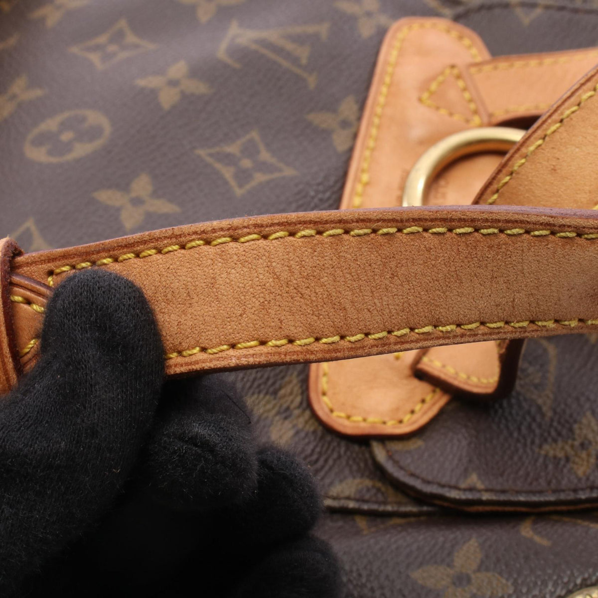 Louis Vuitton Montsouris MM · Monogram