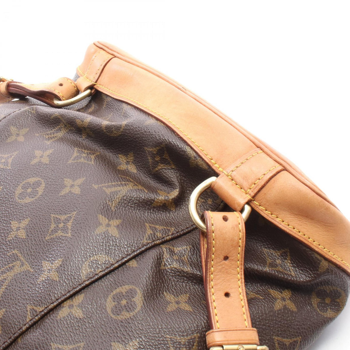 Louis Vuitton Montsouris MM · Monogram