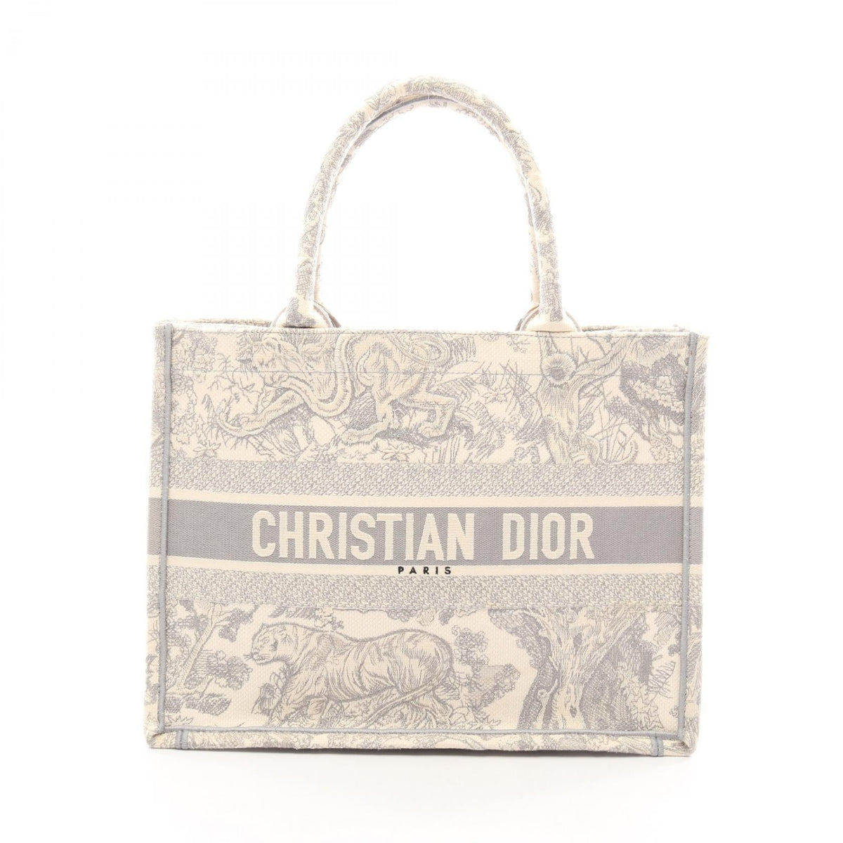 Dior Book Tote · Medium · Canvas