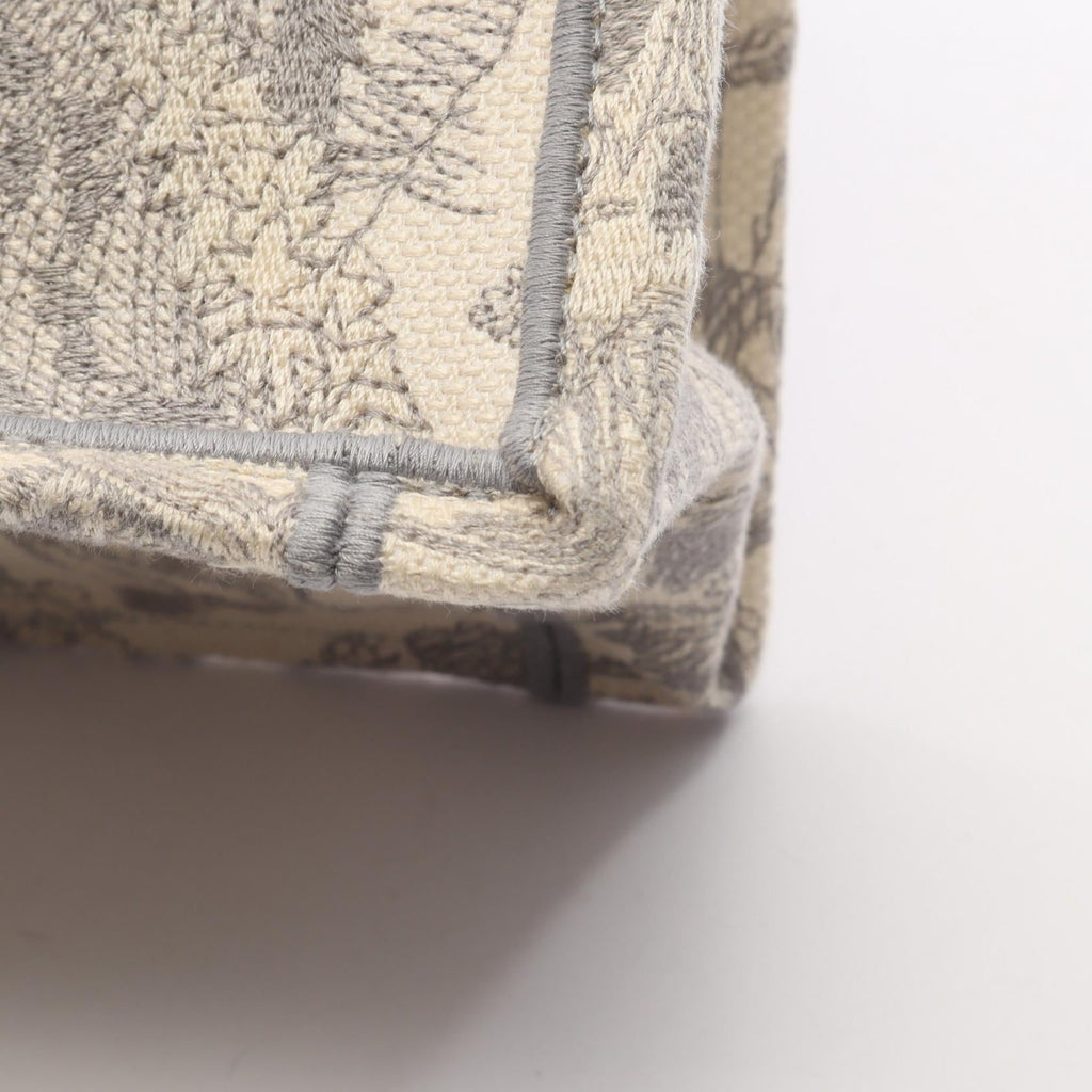 Dior Book Tote · Medium · Canvas