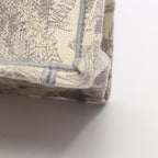 Dior Book Tote · Medium · Canvas