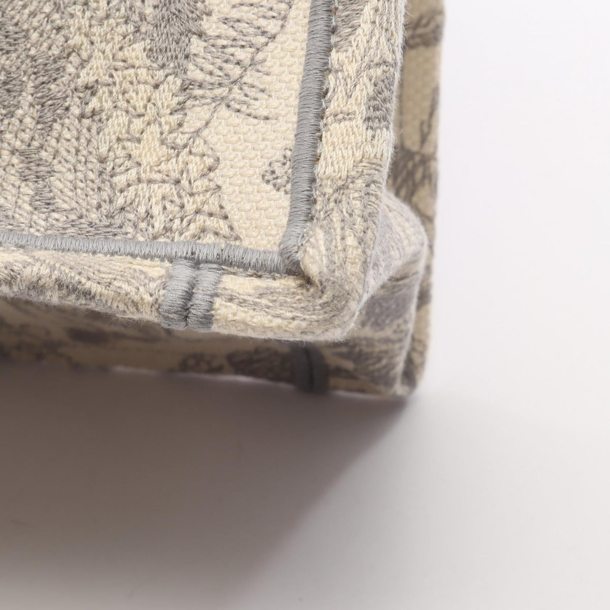 Dior Book Tote · Medium · Canvas