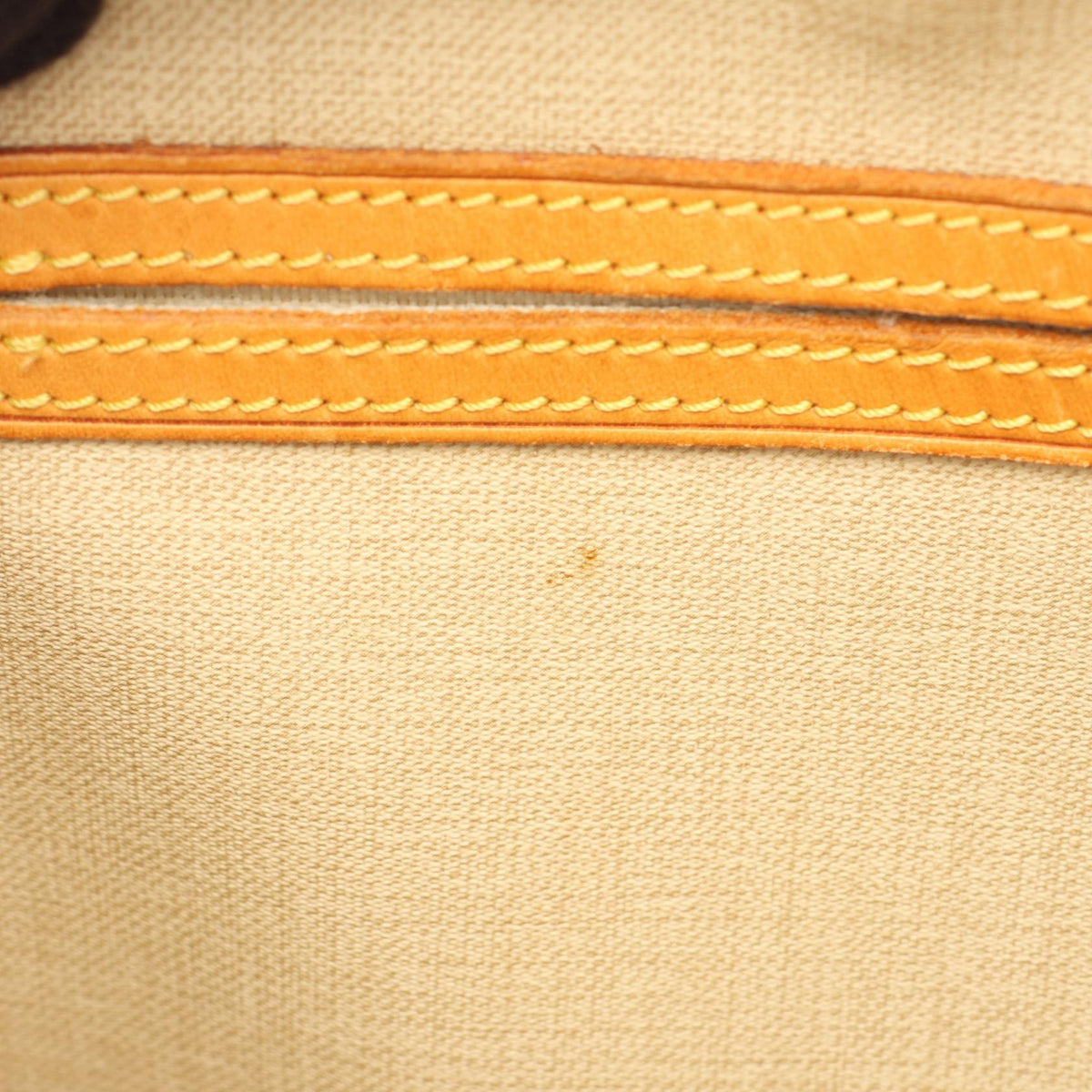 LOUIS VUITTON Reporter PM · Monogram