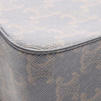 Celine Triomphe Multi Messenger · Canvas