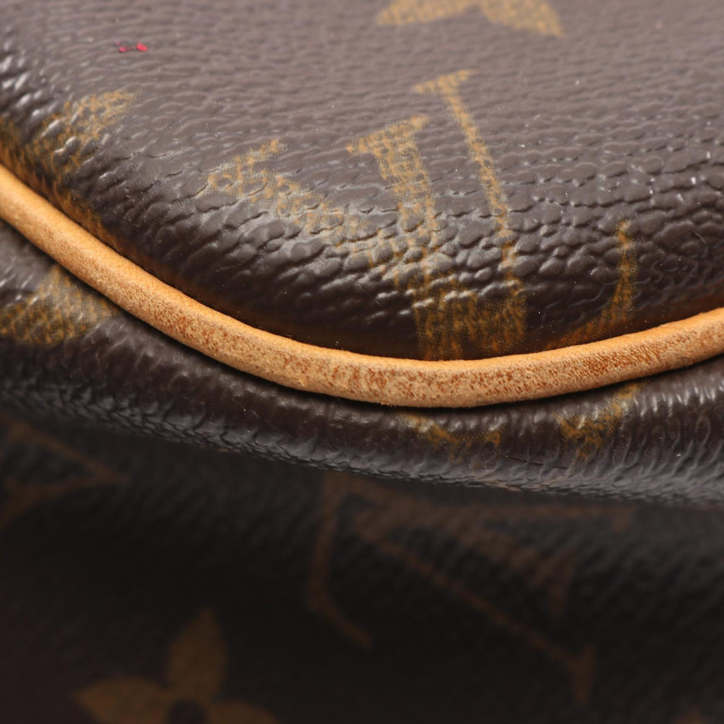 Louis Vuitton Reporter PM · Monogram