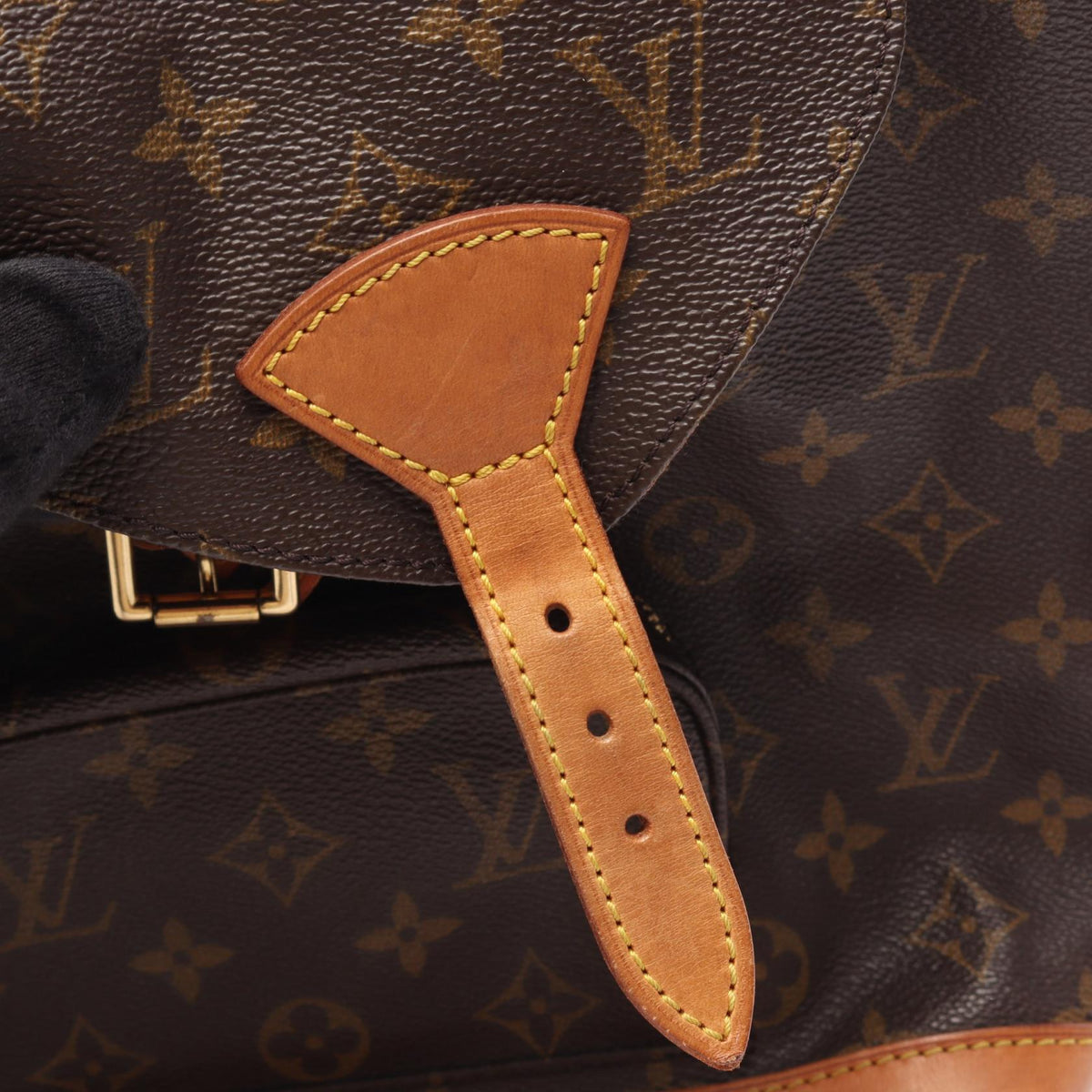 LOUIS VUITTON Montsouris MM · Monogram