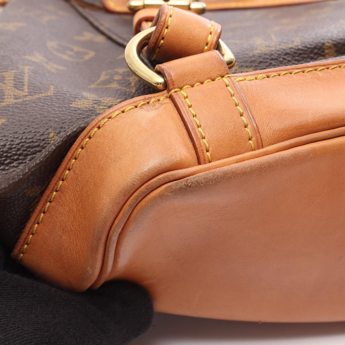 LOUIS VUITTON Montsouris MM · Monogram