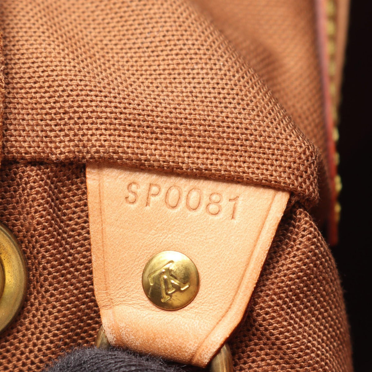 LOUIS VUITTON Montsouris MM · Monogram