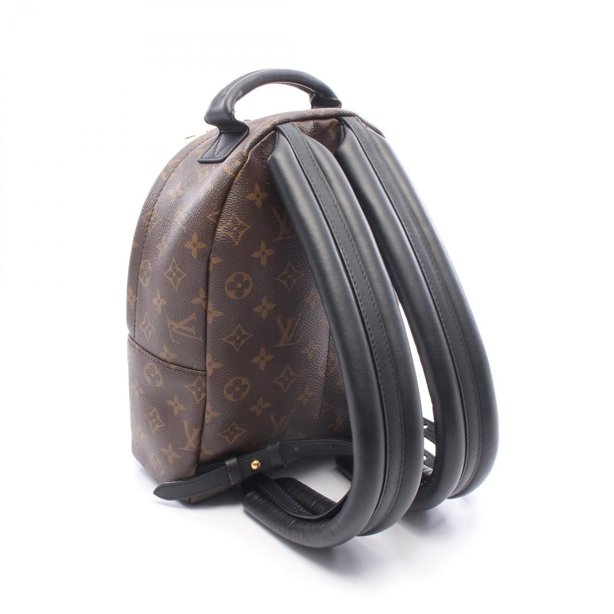 Louis Vuitton Palm Springs PM · Monogram Reverse