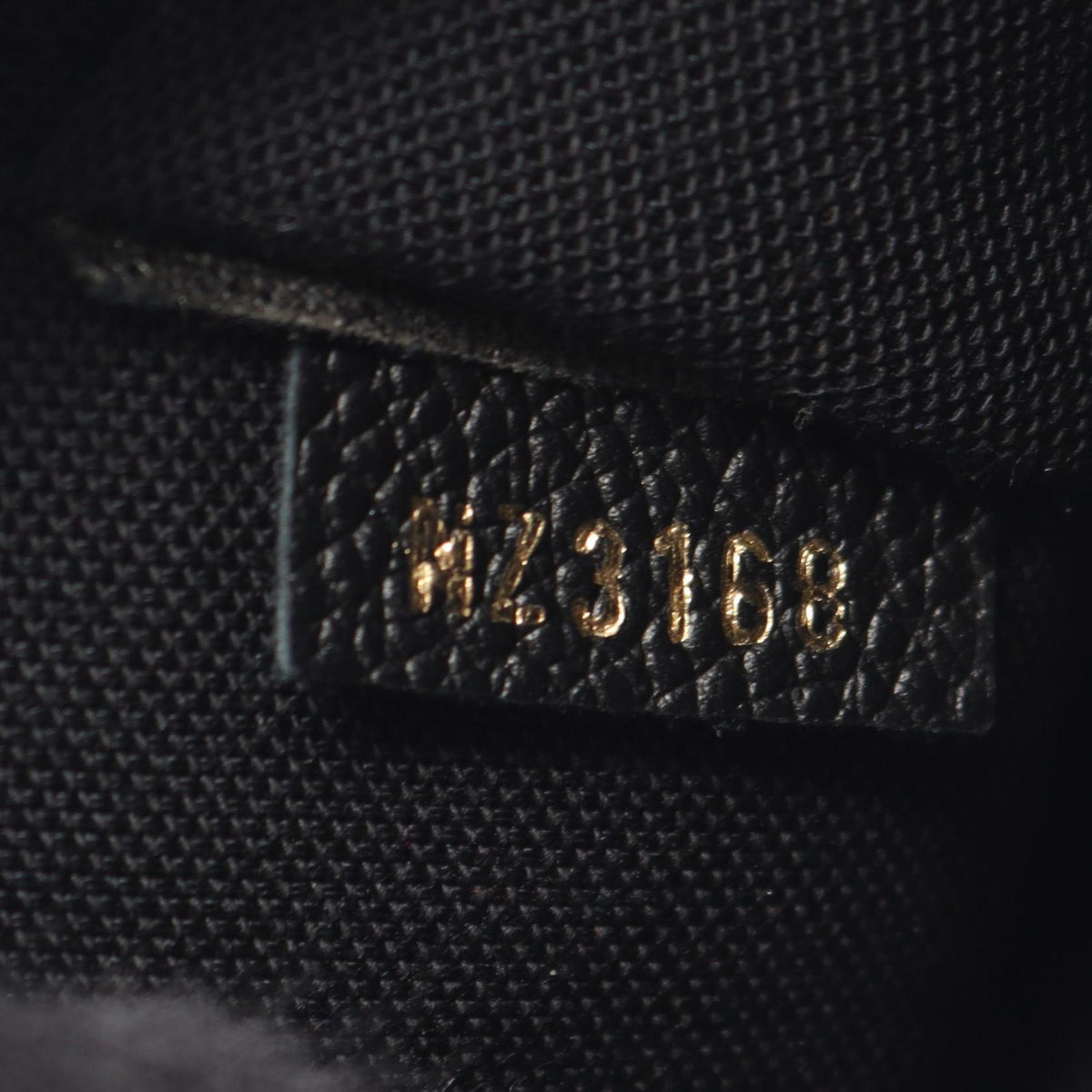 Louis Vuitton Felicie · Monogram Empreinte