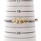 Louis Vuitton LV Iconic · Gold Plated