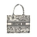 Dior Book Tote · Plan de Paris