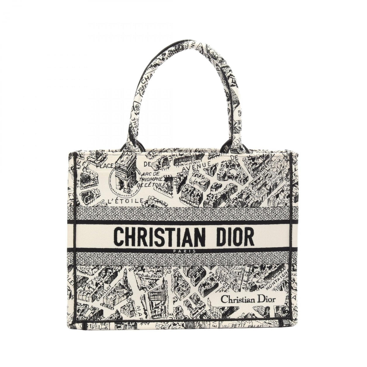 Dior Book Tote · Plan de Paris