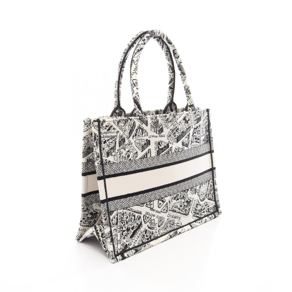 Dior Book Tote · Plan de Paris