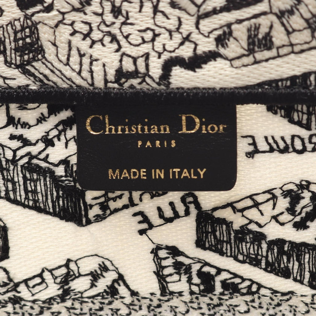 Dior Book Tote · Plan de Paris