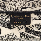 Dior Book Tote · Plan de Paris