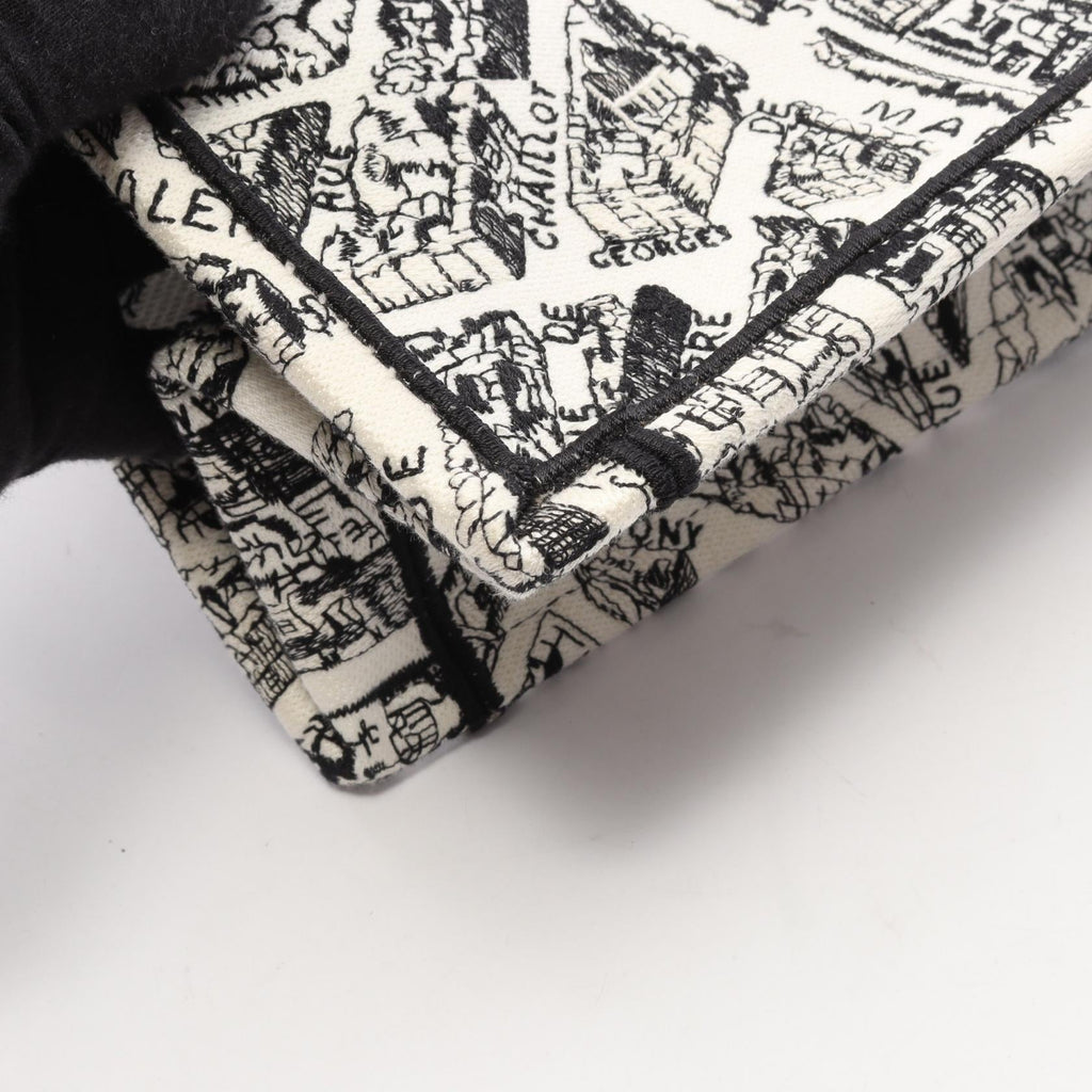 Dior Book Tote · Plan de Paris