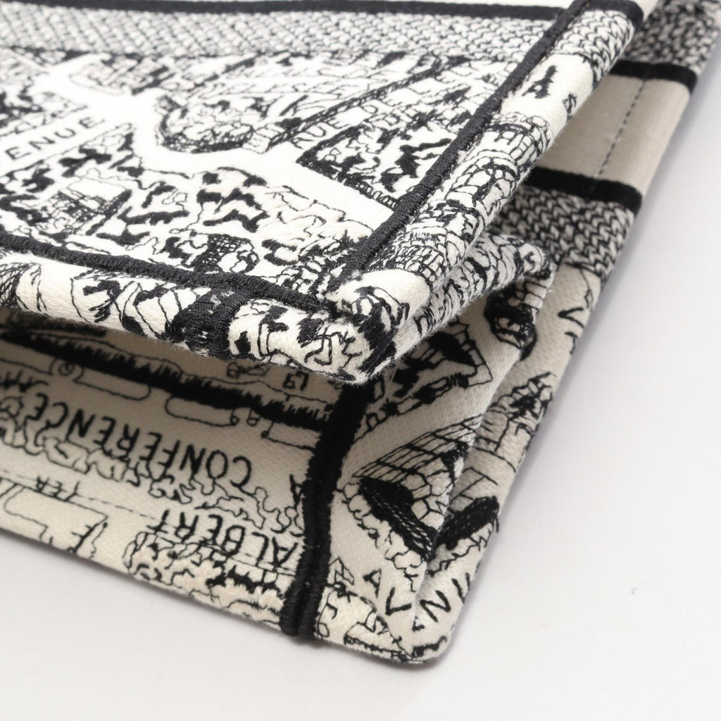 Dior Book Tote · Plan de Paris
