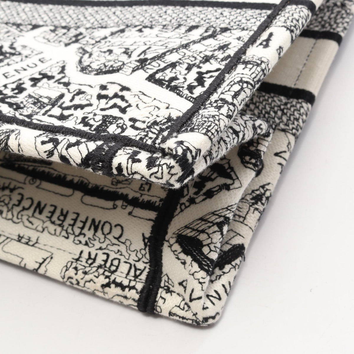 Dior Book Tote · Plan de Paris