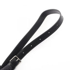 Celine Triomphe Medium Messenger · Canvas