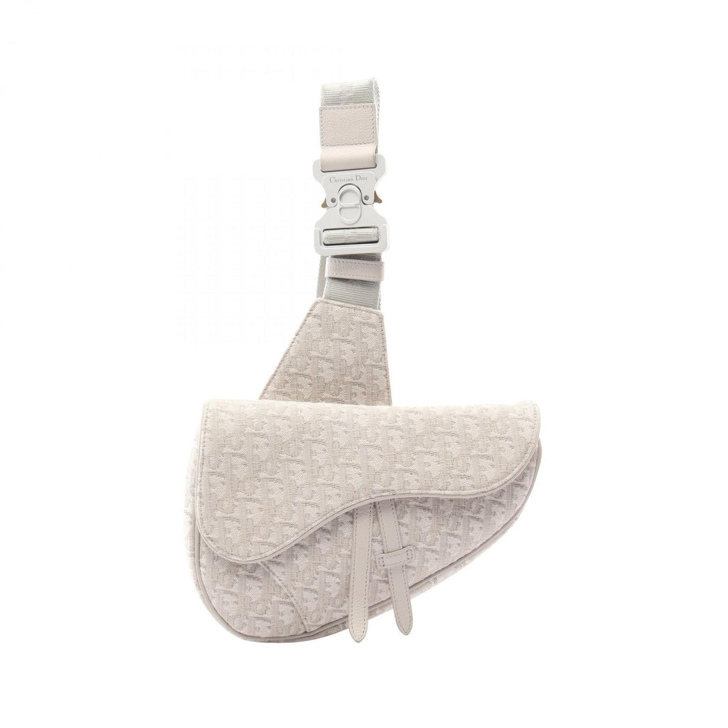 Dior Saddle · Oblique Canvas