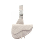 Dior Saddle · Oblique Canvas