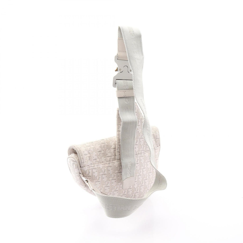 Dior Saddle · Oblique Canvas