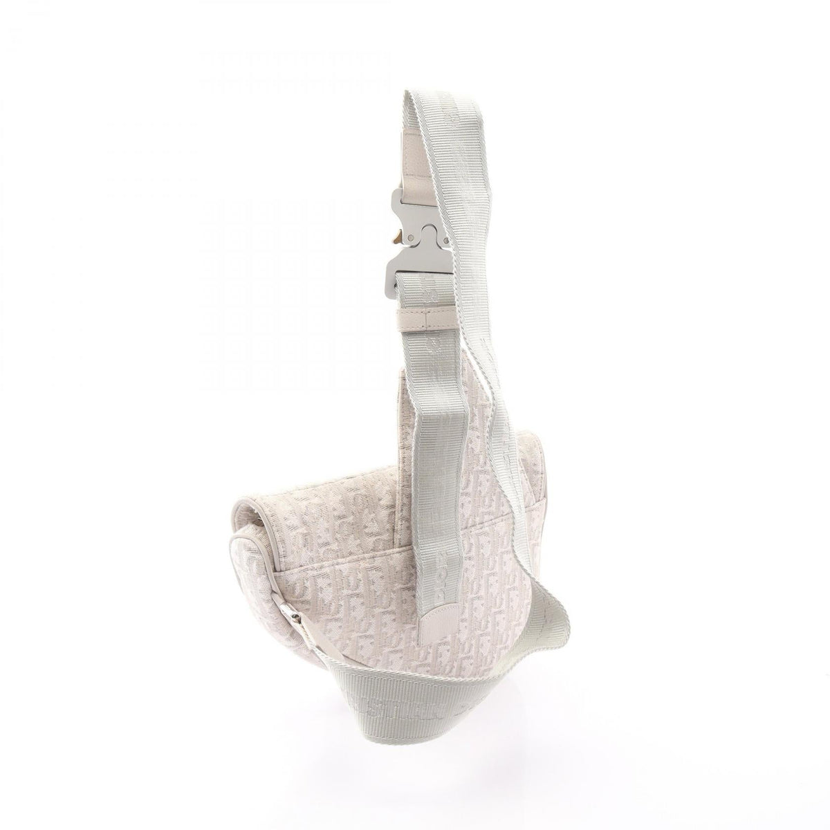 Dior Saddle · Oblique Canvas