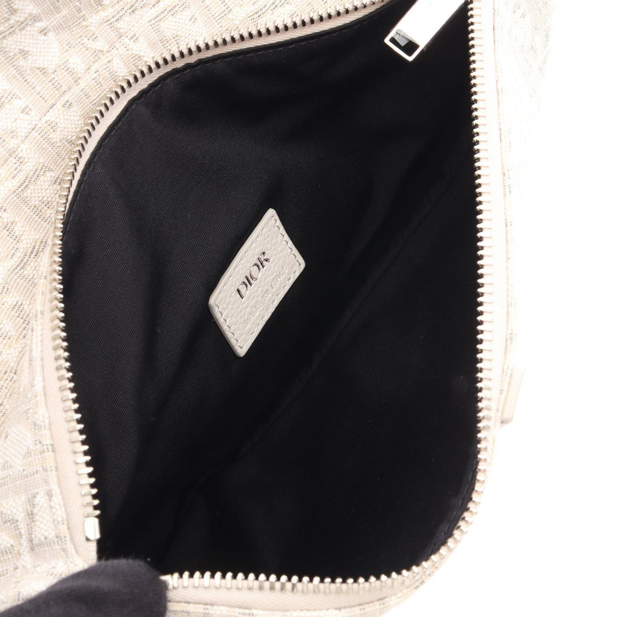 Dior Saddle · Oblique Canvas