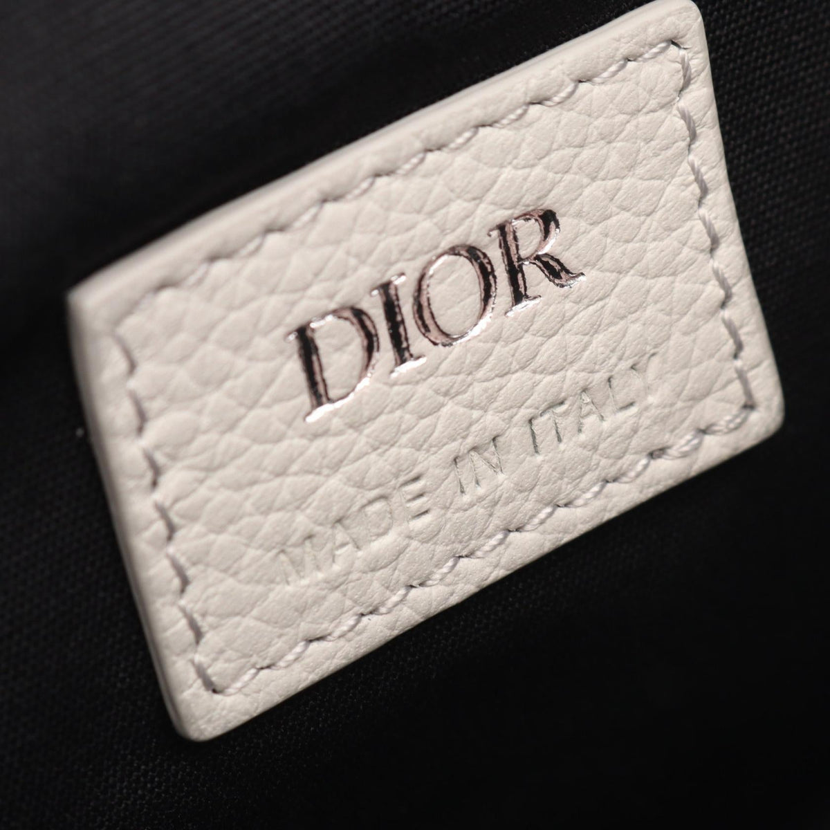 Dior Saddle · Oblique Canvas