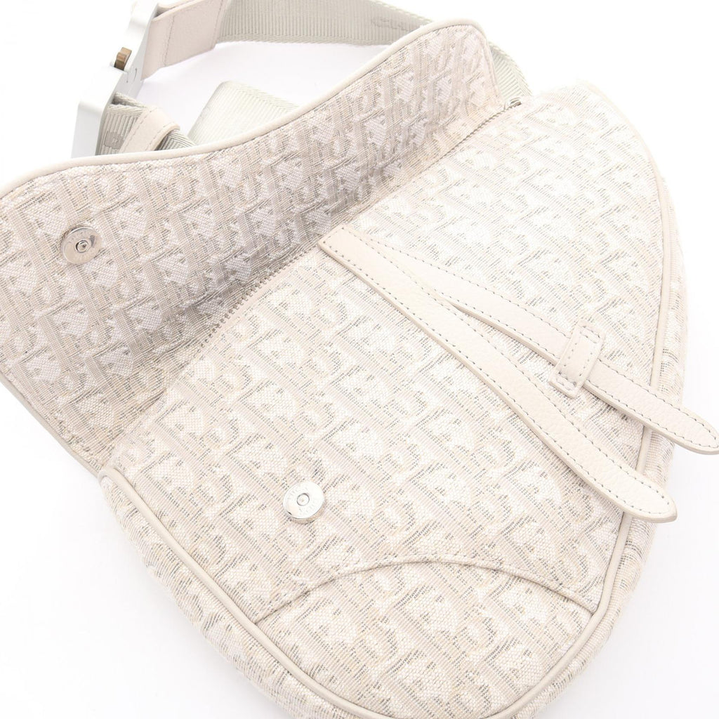 Dior Saddle · Oblique Canvas