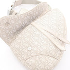 Dior Saddle · Oblique Canvas