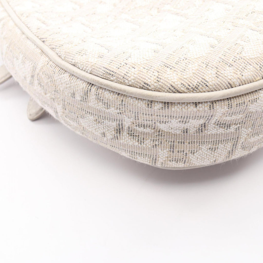 Dior Saddle · Oblique Canvas