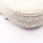 Dior Saddle · Oblique Canvas