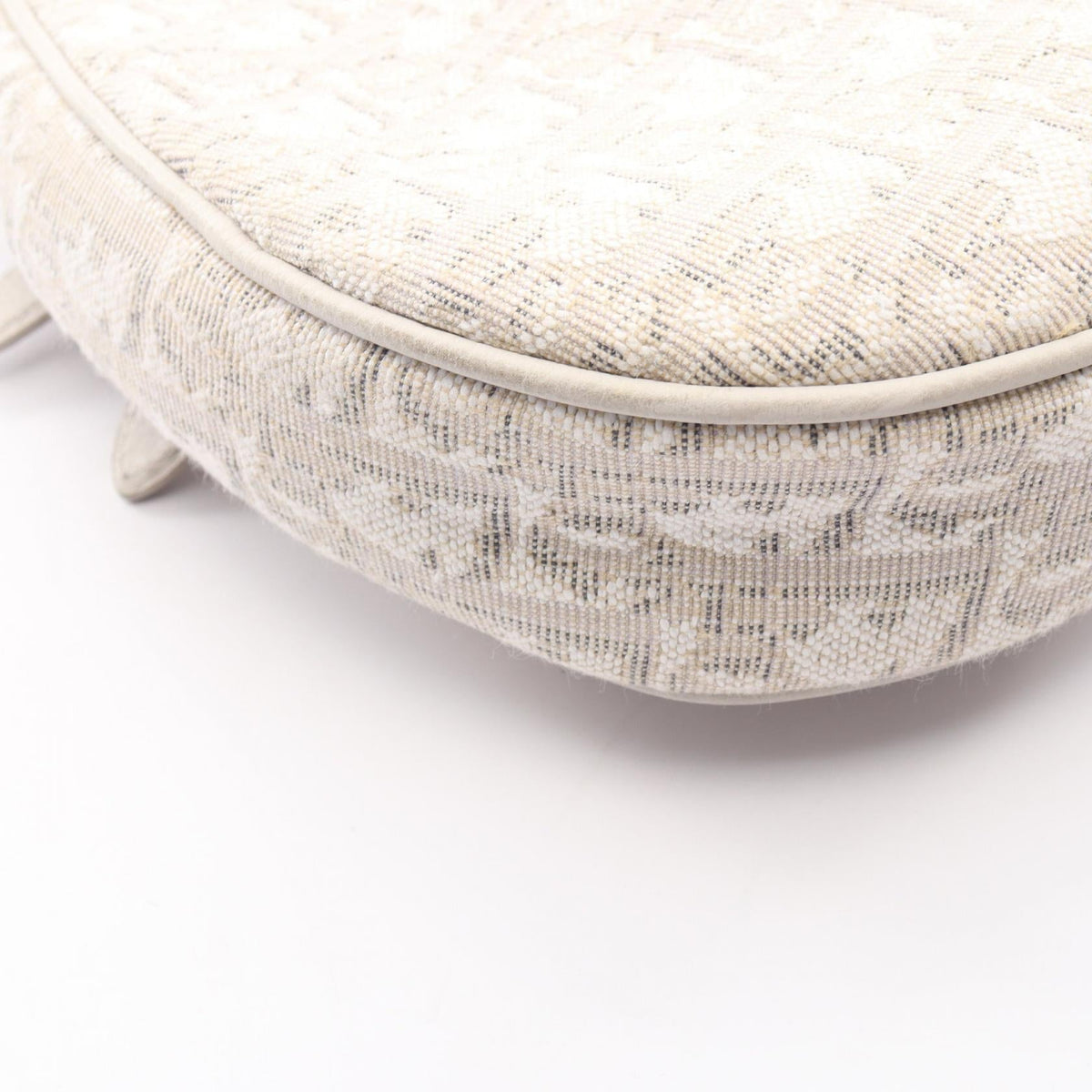 Dior Saddle · Oblique Canvas