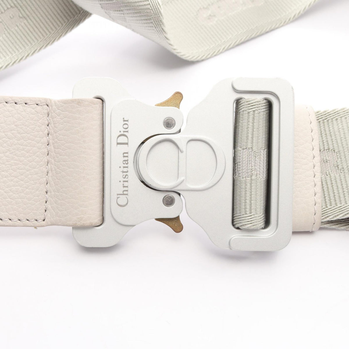 Dior Saddle · Oblique Canvas
