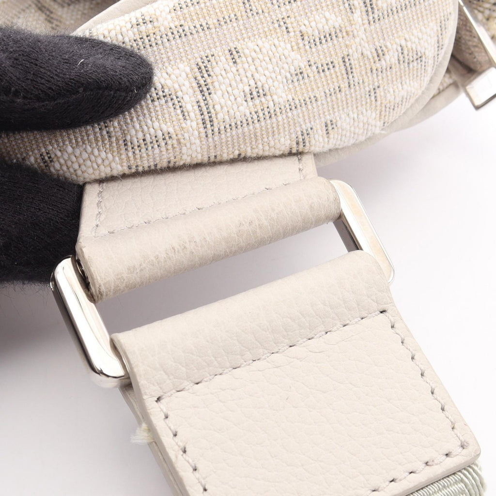 Dior Saddle · Oblique Canvas