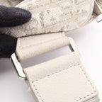 Dior Saddle · Oblique Canvas