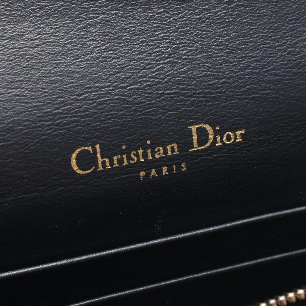 Dior Saddle · Oblique Belt Pouch