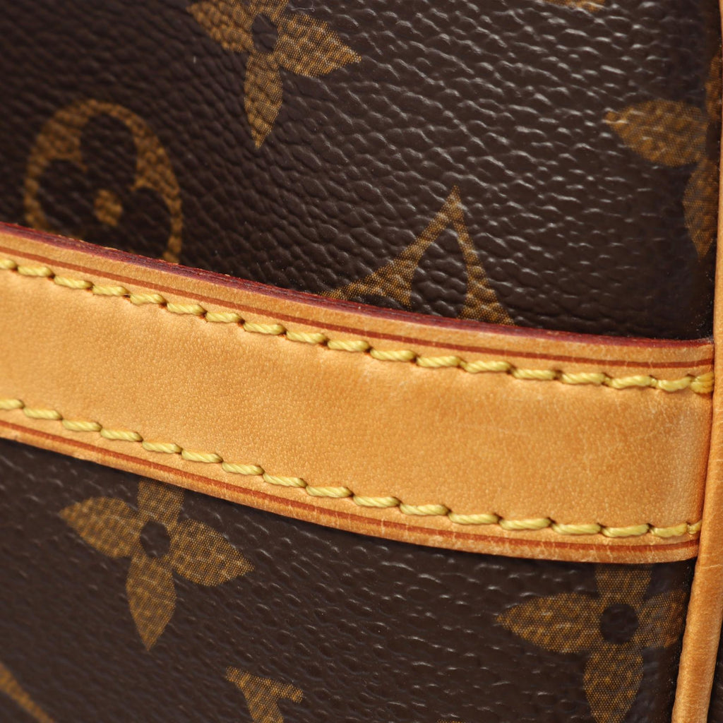 Louis Vuitton Reporter PM · Monogram