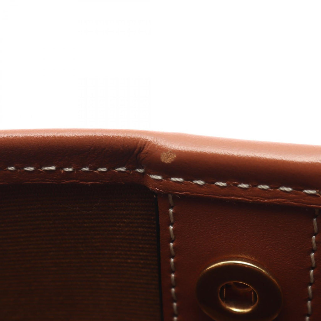 CELINE Triomphe Medium Baguette · Coated Canvas