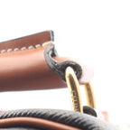 Celine Triomphe · Canvas Crossbody